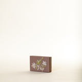 Geranium Nude Small Box