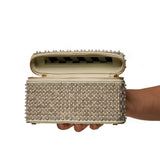 Lucent Vanity Bag