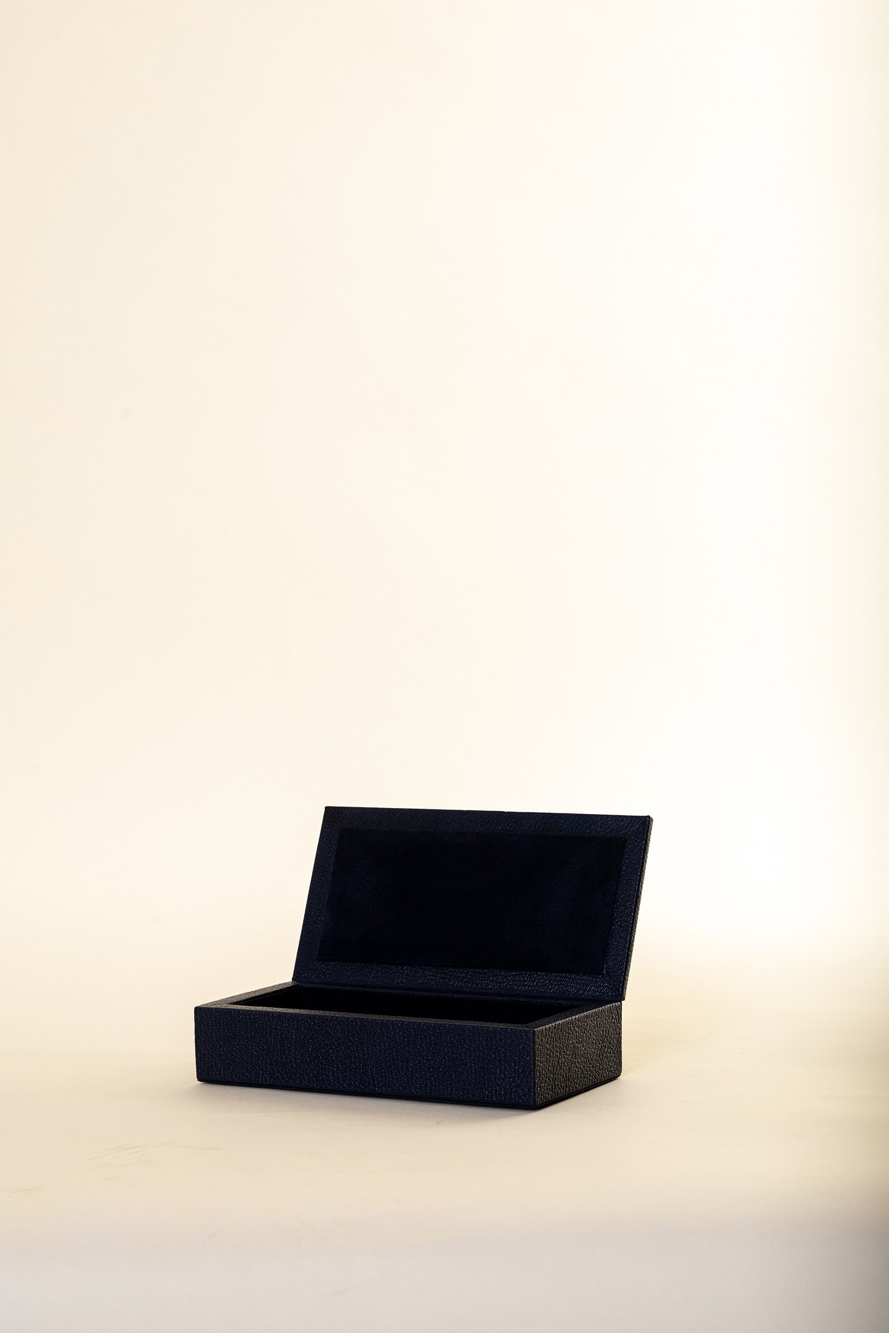 Geranium Navy Large Box