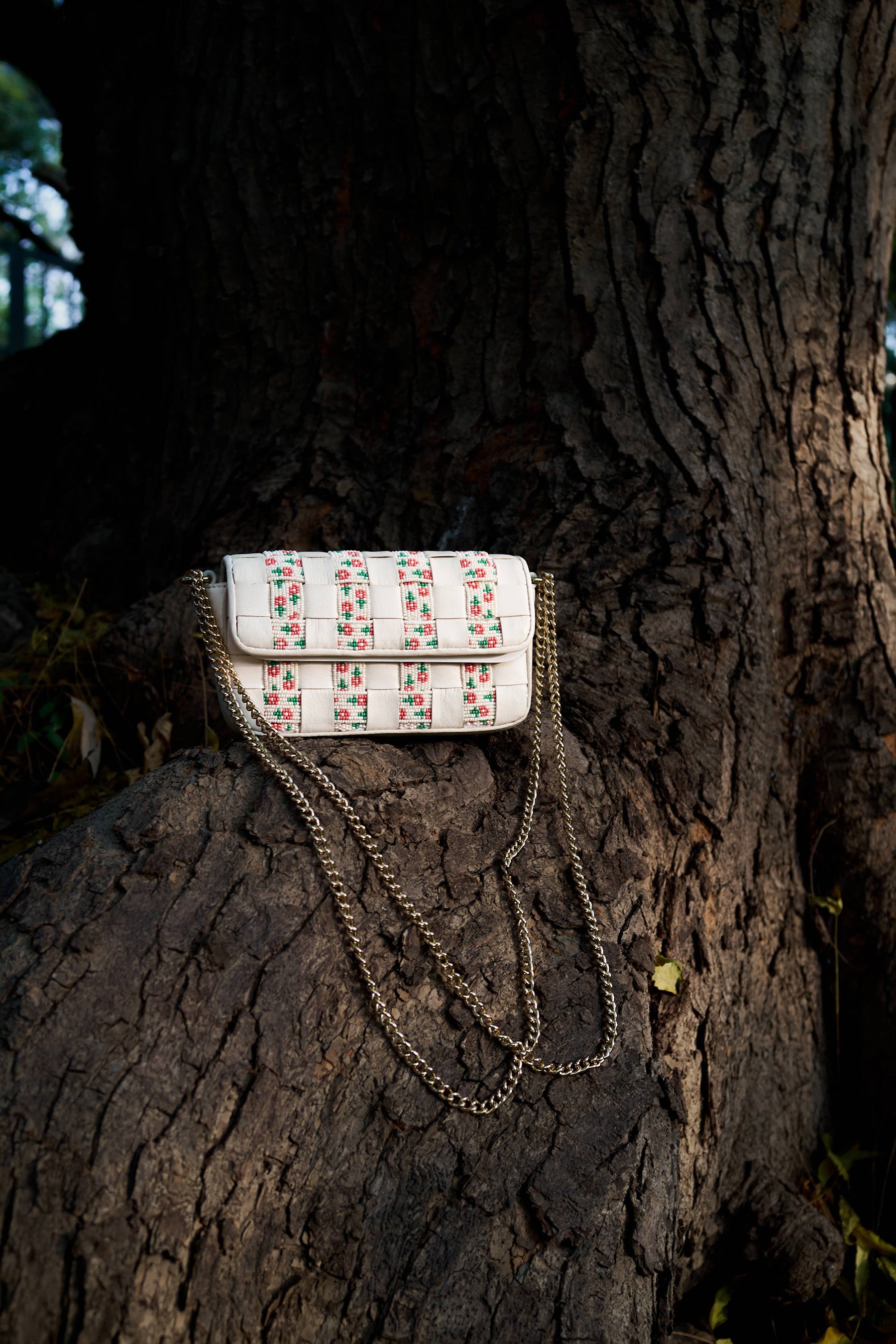 Pallavi Singh With Opal Bag
