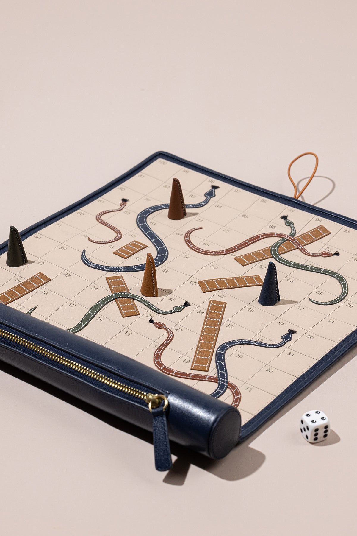 Snakes & Ladders