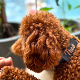 Tan & Black woven leather dog collar