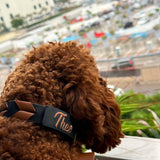 Tan & Black woven leather dog collar
