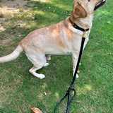 Black woven leather dog leash