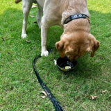 Black woven leather dog leash