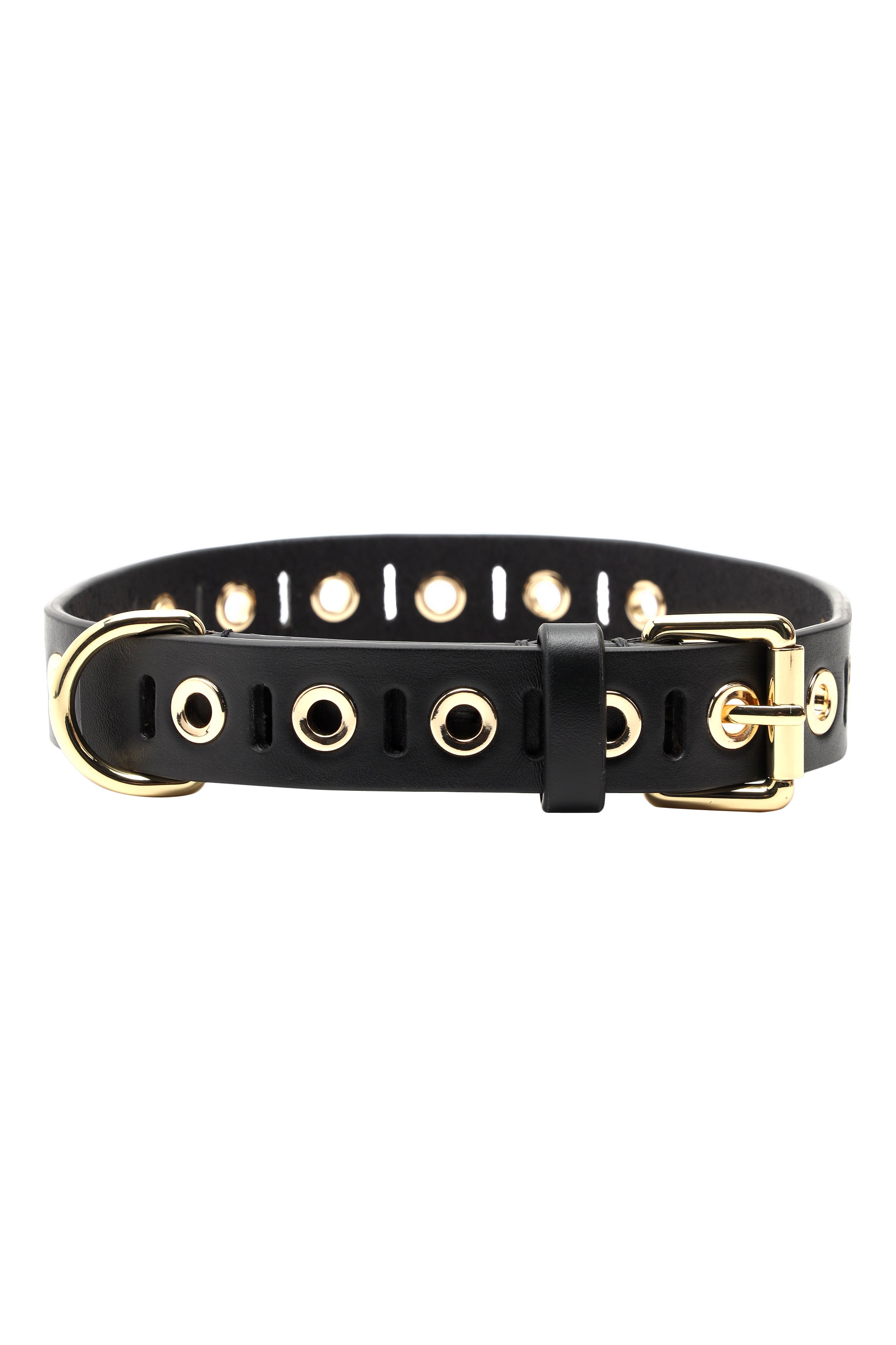 Black Riveted leather dog collar