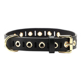 Black Riveted leather dog collar