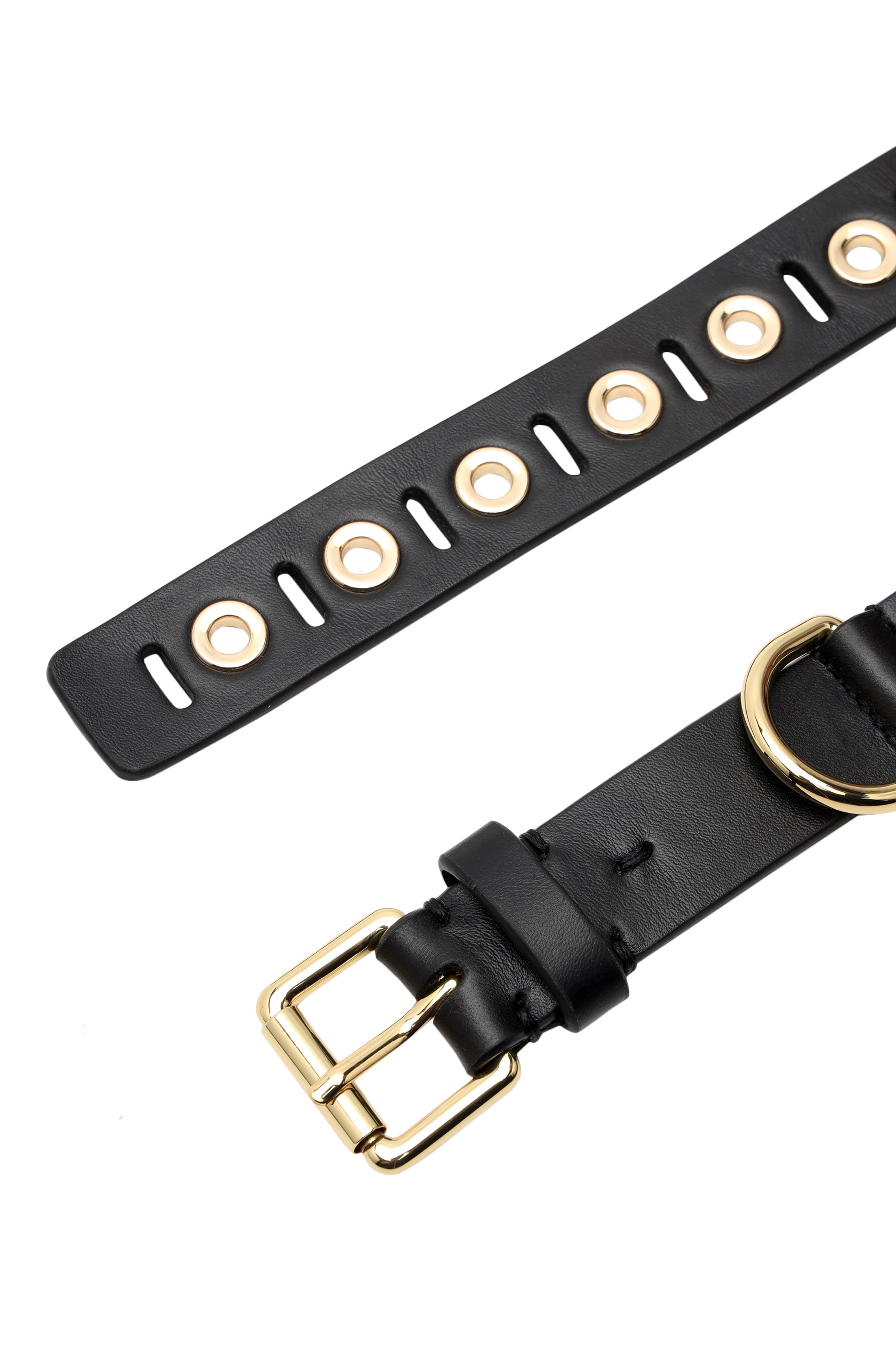 Black Riveted leather dog collar