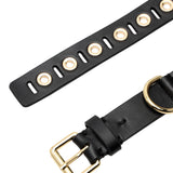 Black Riveted leather dog collar