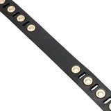 Black Riveted leather dog collar