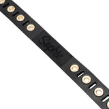Black Riveted leather dog collar