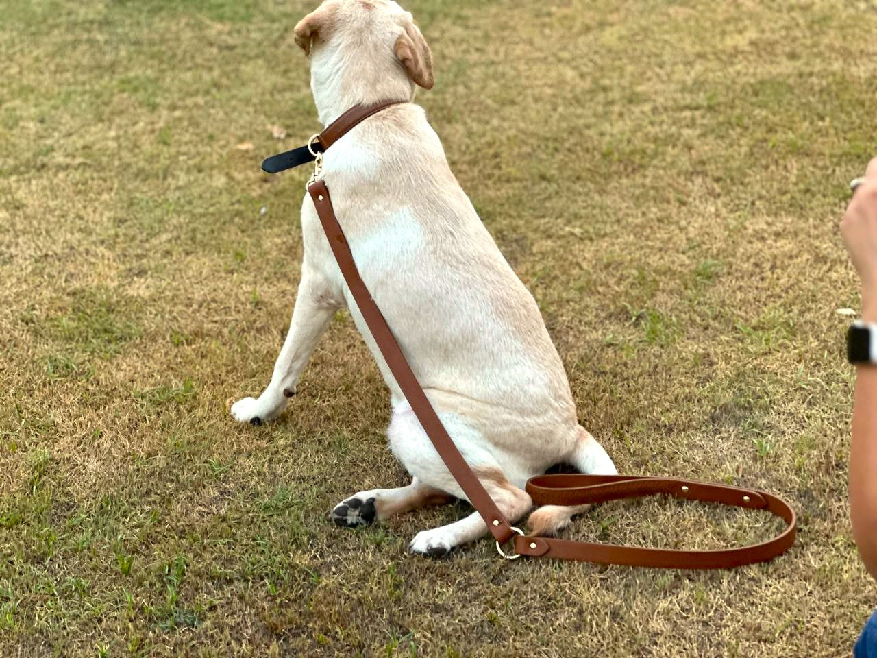 Tan woven leather dog leash