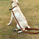 Tan woven leather dog leash