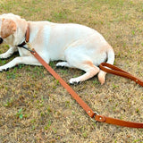 Tan woven leather dog leash