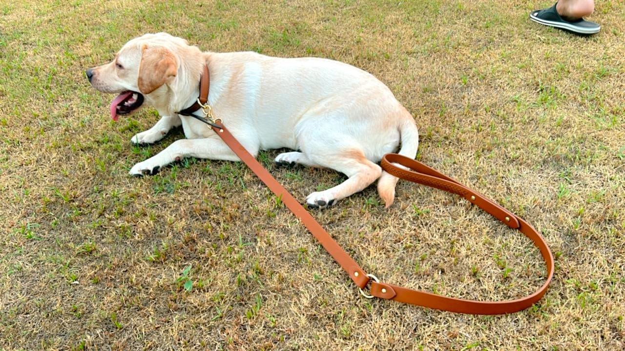 Tan woven leather dog leash