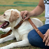 Tan woven leather dog leash