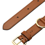 Tan Interlaced leather dog collar