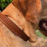 Tan Interlaced leather dog collar