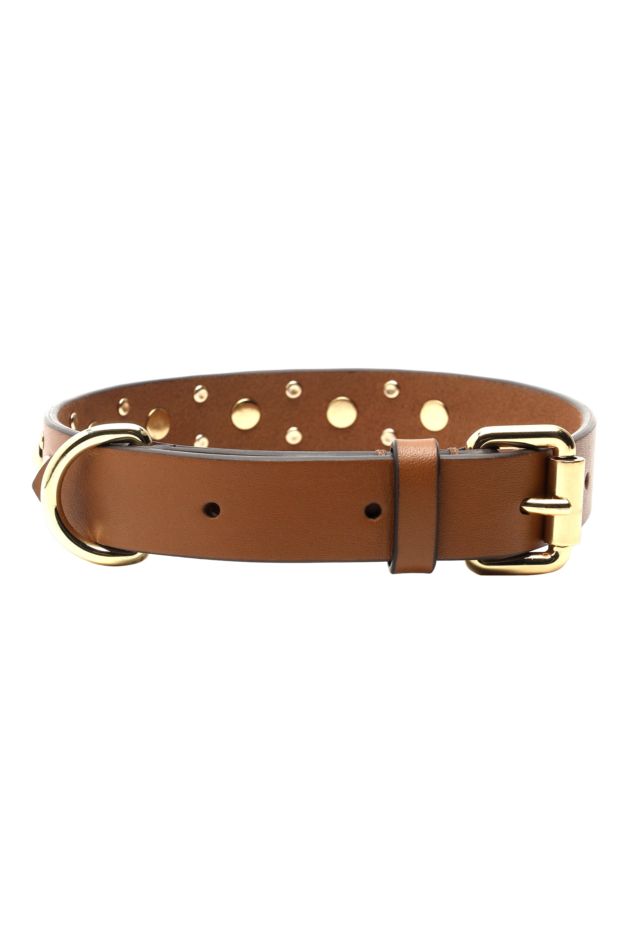 Tan leather dog collar with studs