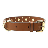 Tan leather dog collar with studs