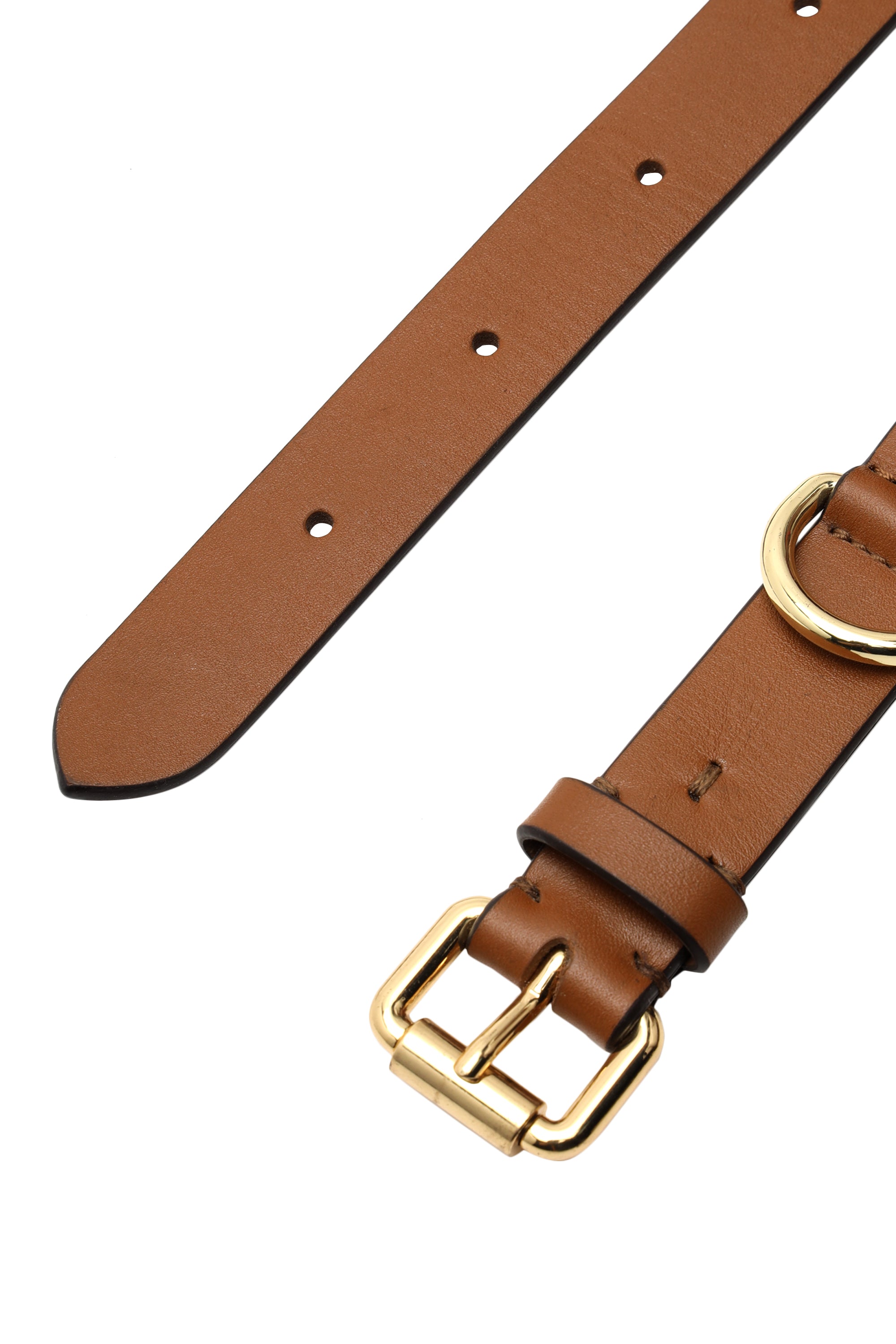 Tan leather dog collar with studs