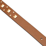 Tan leather dog collar with studs