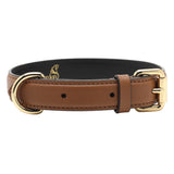 Tan leather dog collar