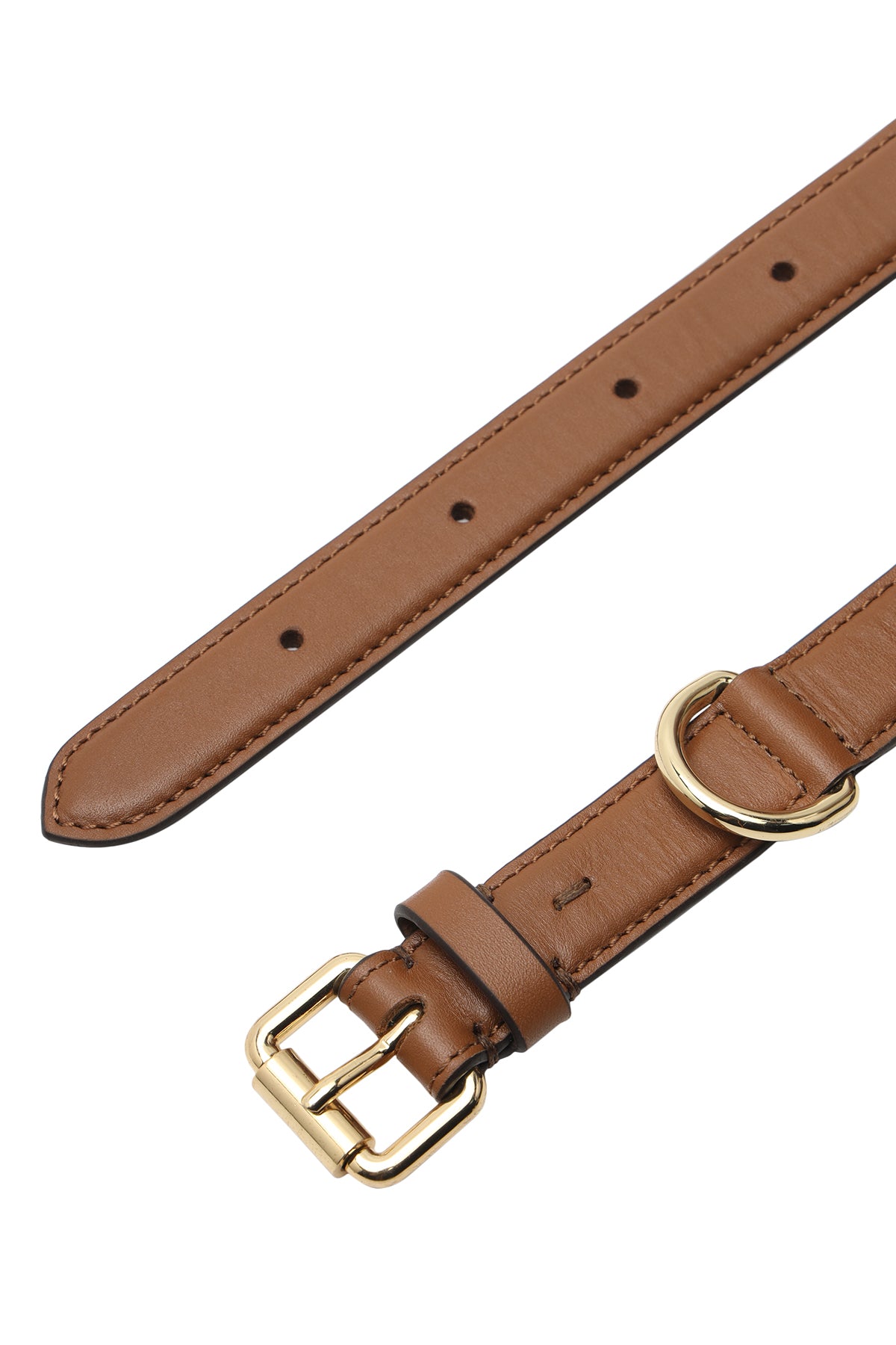 Tan leather dog collar