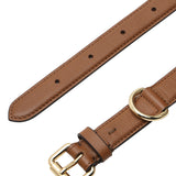Tan leather dog collar